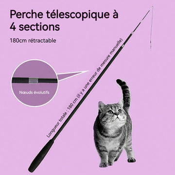 Teaser de chat jouet télescopique pour chat à tige télescopique à 4 sections Tête de rechange à double plume pour animaux noir